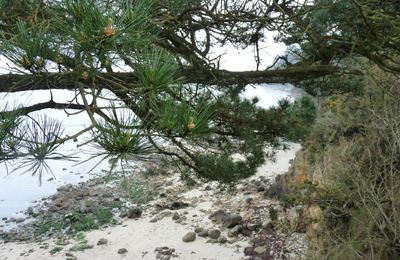 LA MER et ses paysages Suite un problème