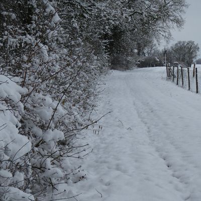 Rester à la maison et admirer le jardin transformé !