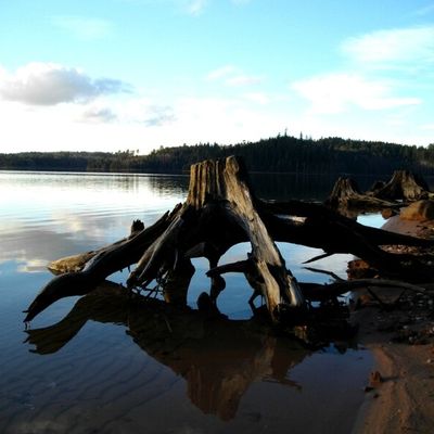 Méditer au calme (suite et fin)