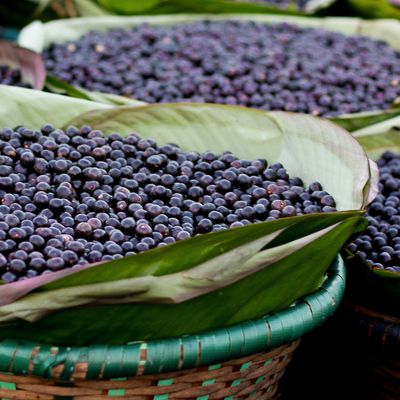 Açai bowl et graines d'açai pour bijoux uniques
