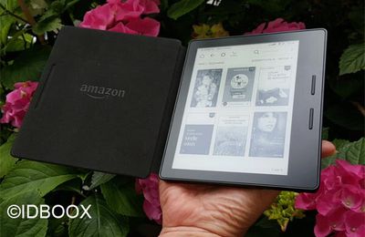 Le Kindle très apprécié en Chine