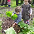 Ce week-end, côté jardin