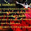 Soirée Dansante le 21 février 2015