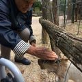 Les Résidents des "Collines" en sortie au parc animalier de Gramat