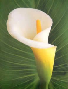 Chapter 22 and Happy Mama's Day! xox