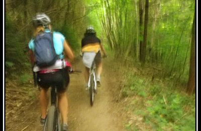 Vtt dans les Monts du Lyonnais