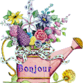 De jolies cartes