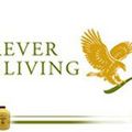 L' HISTOIRE DE FOREVER LIVING PRODUCTS