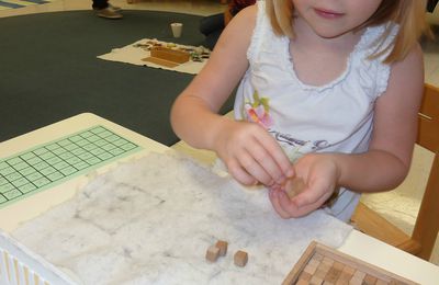 L'école Montessori: Dernière année 