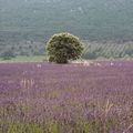 Luberon