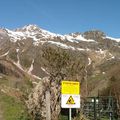 Col de l'Oule 2 556 m