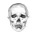 The Anatomy of Skulls by Istvan Laszlo @ Sebastian Guinness Gallery