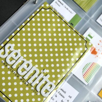 One Little Word - Janvier 2012 c'est reparti !!