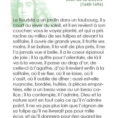 Portrait du fleuriste par La Bruyère