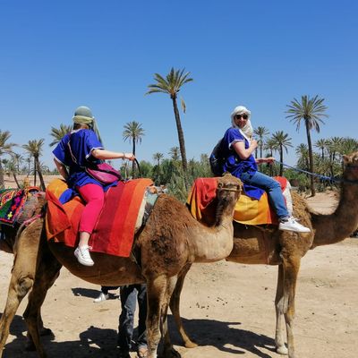 Promenade a dos de chameau Marrakech