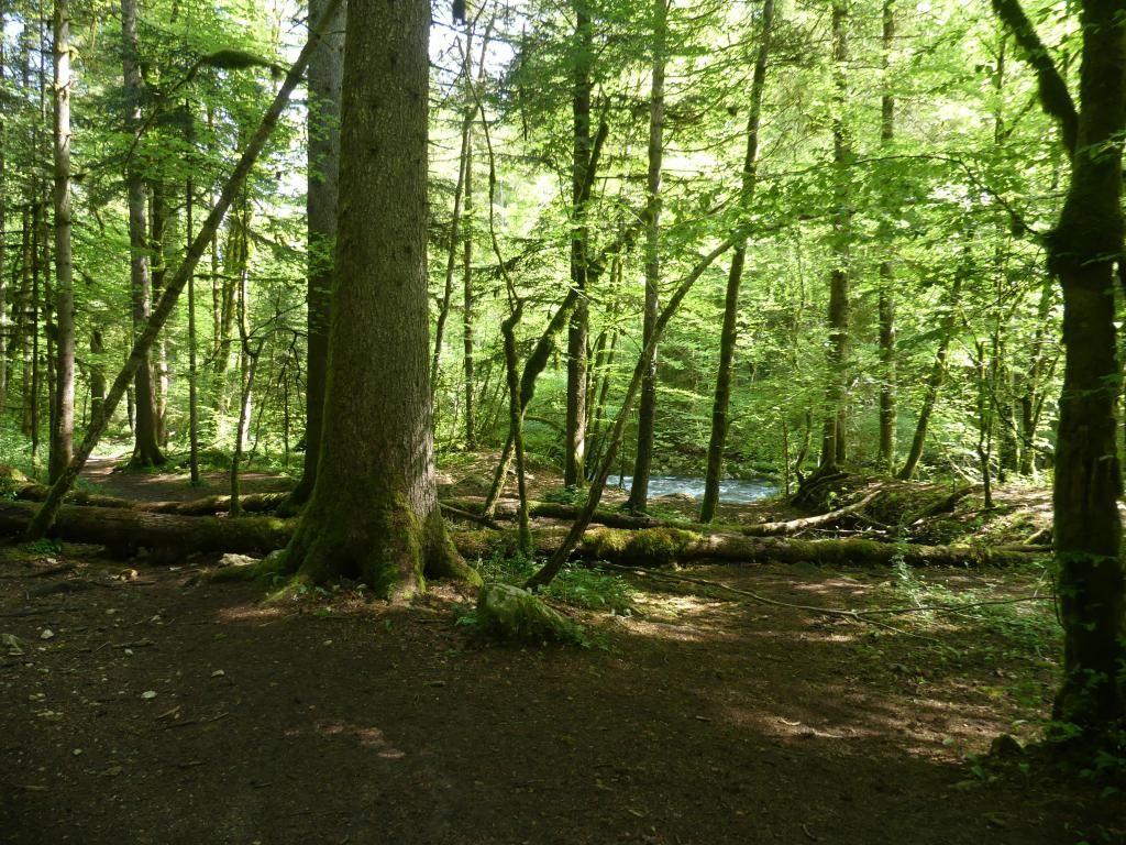 P1320579
