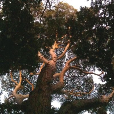 Accompagnement psycho-corporel 