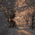  Neige et malade