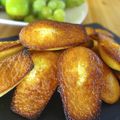 Madeleines Moelleuses au Citron