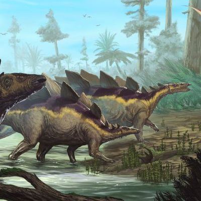 quelque part au Crétacé