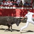 3ème journée du Gland d'Or à Montfrin