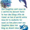 les dauphins de l'amitié