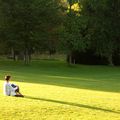 Jeux d'ombre et Rêveries dans la lumière et le vent de fin d'été