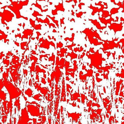 Tant que fleuriront les coquelicots