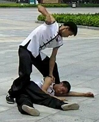 Kung Fu Choy Lee Fut