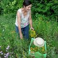 Plantes et Santé, jardinage et cuisine