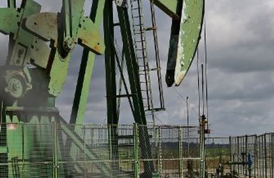 Nicolas Hulot est vraiment un con : la preuve