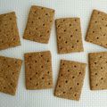 crackers maison diététiques complets multicéréales blé-soja-lupin-souchet-millet (sans sucre ni beurre ni oeufs)