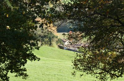 NOUVELLE SEMAINE... NOUVELLES PHOTOS...