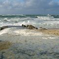 uN dimanche de mars à la mer