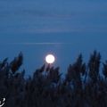 Pleine lune #1
