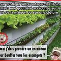 LES CONSEILS DU JARDINER AFFAMENT LE HERISSON