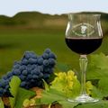 Recettes aux vins de chinon