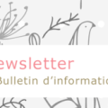 Nouveau: Newsletter