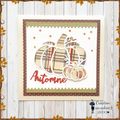 Carterie Année 2024 _ Novembre