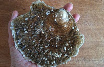 Tartare d'huîtres aux perles du Japon dans son écrin