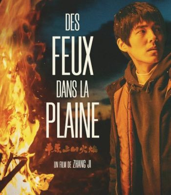 "Des feux dans la plaine" de Ji Zhang : promesse non tenue…