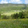 Savoie
