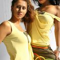 TURBOWEAR : Top Pondicherry