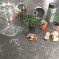 Création d'un terrarium