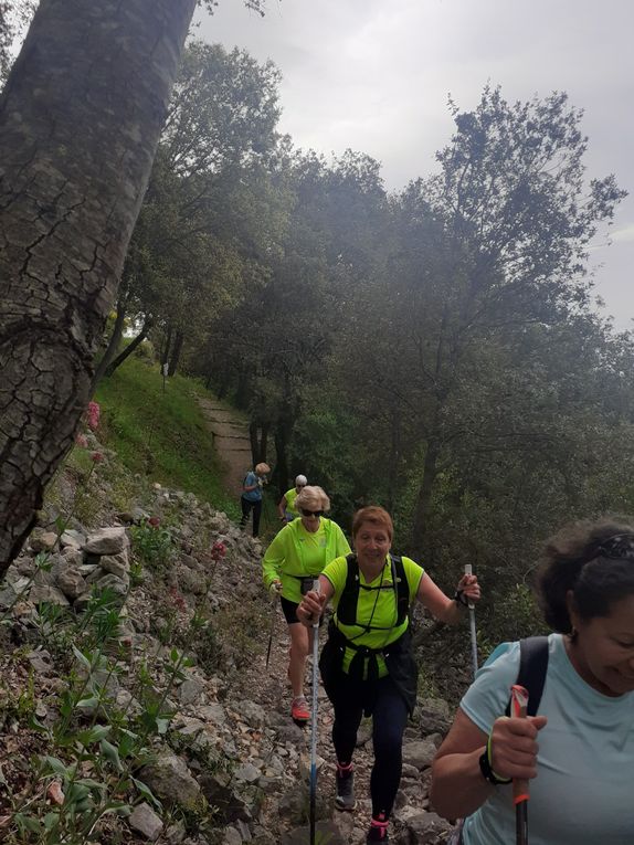 13km dans les collines de Flassans pour 13 sportifs 