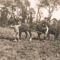 AU DEBUT DU SIECLE DERNIER EN COTENTIN 