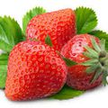 IDÉES RECETTES AVEC DES FRAISES