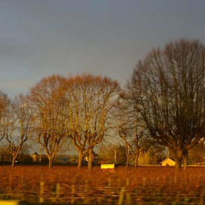 L'auomne en couleurs / Automnal tints