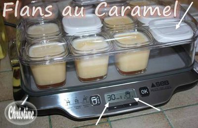 ~~ Flans Caramel à la Multi-Délices ~~