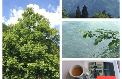 Un été sans fin - Entre le lac de Thun et le lac de Brienz